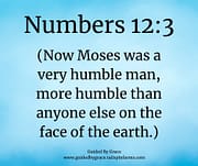 MOSES ... HUMBLE / NUMBERS 12:3