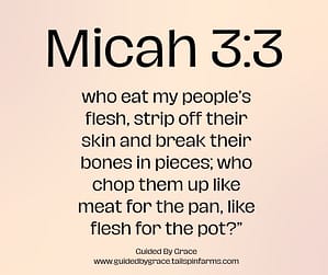 Micah 33 (1)