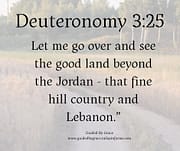 LET ME GO OVER / DEUTERONOMY 3:25