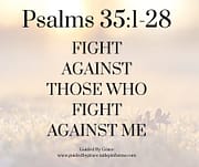 FIGHT AGAINST THOSE WHO FIGHT AGAINST ME / PSALMS 35:1-28