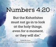 OR THEY WILL DIE / NUBERS 4:20