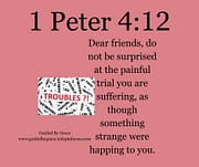 THE PAINFUL TRIAL / 1 PETER 4:12