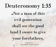 NOT A MAN ... SHALL SEE THE GOOD LAND / DEUTERONOMY 1:35