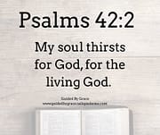 MY SOUL THIRSTS FOR GOD / PSALMS 42:2