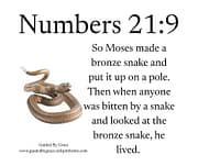 BRONZE SNAKE / NUMBERS 21:9