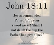 THE CUP / JOHN 18:11