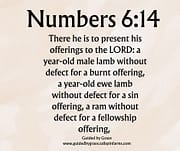 PRESENT HIS OFFERINGS / NUMBERS 6:14
