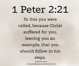 1 Peter 221