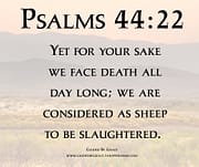 FOR YOUR SAKE WE FACE DEATH ALL DAY LONG / PSALMS 44:22