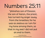 AS ZEALOUS AS I AM / NUMBERS 25:11