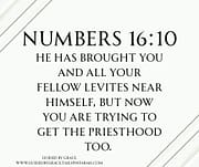 TRYING TO GET THE PRIESTHOOD TOO / NUMBERS 16:10