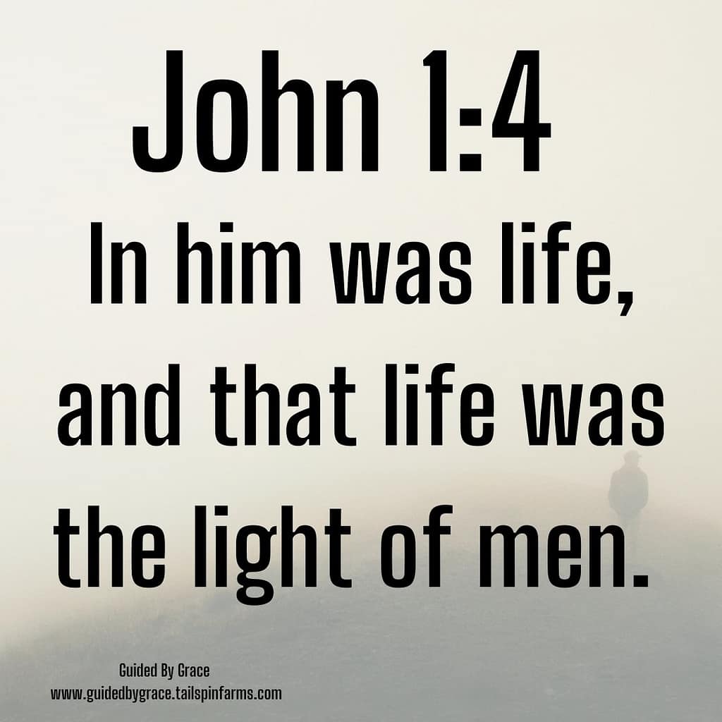 LIFE WAS THE LIGHT OF MEN / JOHN 1:4 - Guided By Grace