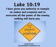 SNAKES AND SCORPIONS / LUKE 10:19