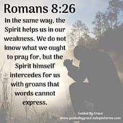 THE SPIRIT HELPS US - SPIRIT HIMSELF INTERCEDES FOR US / ROMANS 8:26
