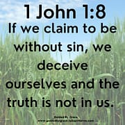 IF WE CLAIM TO BE WITHOUT SIN / 1 JOHN 1:8