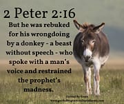 SPOKE WITH A MAN’S VOICE / 2 PETER 2:16