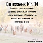 FROM THE DOMINION OF DARKNESS / COLOSSIANS 1:13-14