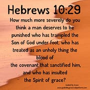 TRAMPLED THE SON OF GOD / HEBREWS 10:29