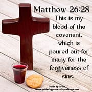 FORGIVENESS OF SINS / MATTHEW 26:28