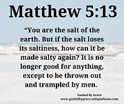 SALT OF THE EARTH / MATTHEW 5:13