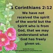 THAT WE MAY UNDERSTAND / 1 CORINTHIANS 2:12
