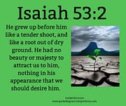 ROOT OUT OF DRY GROUND - NO BEAUTY OR MAJESTY TO ATTRACT US / ISAIAH 53:2