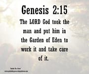 PUT HIM IN THE GARDEN OF EDEN / GENESIS 2:15