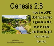 GARDEN IN THE EAST, IN EDEN / GENESIS 2:8