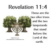 OLIVE TREES ... LAMPSTANDS / REVELATION 11:4