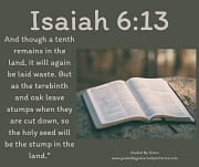THE HOLY SEED / ISAIAH 6:13