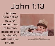 BORN NOT OF ... HUMAN DECISION / JOHN 1:13