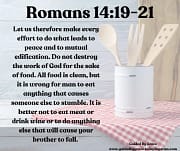 LEADS TO PEACE / ROMANS 14:19-21