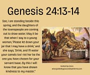 I'LL WATER YOUR CAMELS TOO / GENESIS 24:13-14