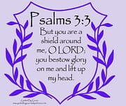 YOU ARE A SHIELD ... YOU BESTOW GLORY / PSALMS 3:3
