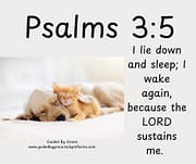 I LIE DOWN AND SLEEP / PSALMS 3:5