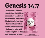 JACOB'S SONS WERE FILLED WITH GRIEF / GENESIS 34:7