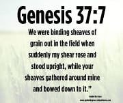 BOWED DOWN / GENESIS 37:7