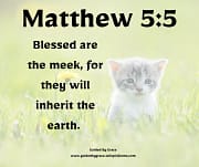 THE MEEK / MATTHEW 5:5