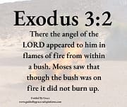 THE ANGEL OF THE LORD / EXODUS 3:2