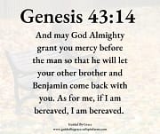 IF I AM BEREAVED / GENESIS 43:14