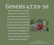 CARRY ME OUT OF EGYPT / GENESIS 47:329-0