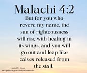 FOR YOU WHO REVERE MY NAME / MALACHI 4:2