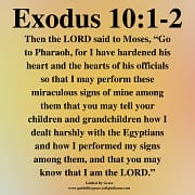 YOU MAY TELL YOUR CHILDREN / EXODUS 10:1-2
