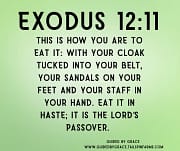 YOUR CLOAK TUCKED INTO YOUR BELT YOUR SANDALS ON YOUR FEET / EXODUS 12:11