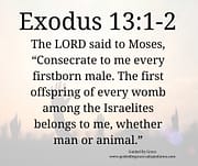 CONSECRATE TO ME EVERY FIRSTBORN MALE / EXODUS 13:1-2