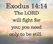 THE LORD WILL FIGHT FOR YOU / EXODUS 14:14