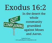 GRUMBLED AGAINST MOSES / EXODUS 16:2