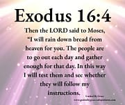 BREAD FROM HEAVEN - IN THIS WAY I WILL TEST THEM / EXODUS 16:4
