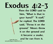 STAFF ... BECAME A SNAKE / EXODUS 4:2-3