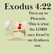ISRAEL MY FIRSTBORN / EXODUS 4:22